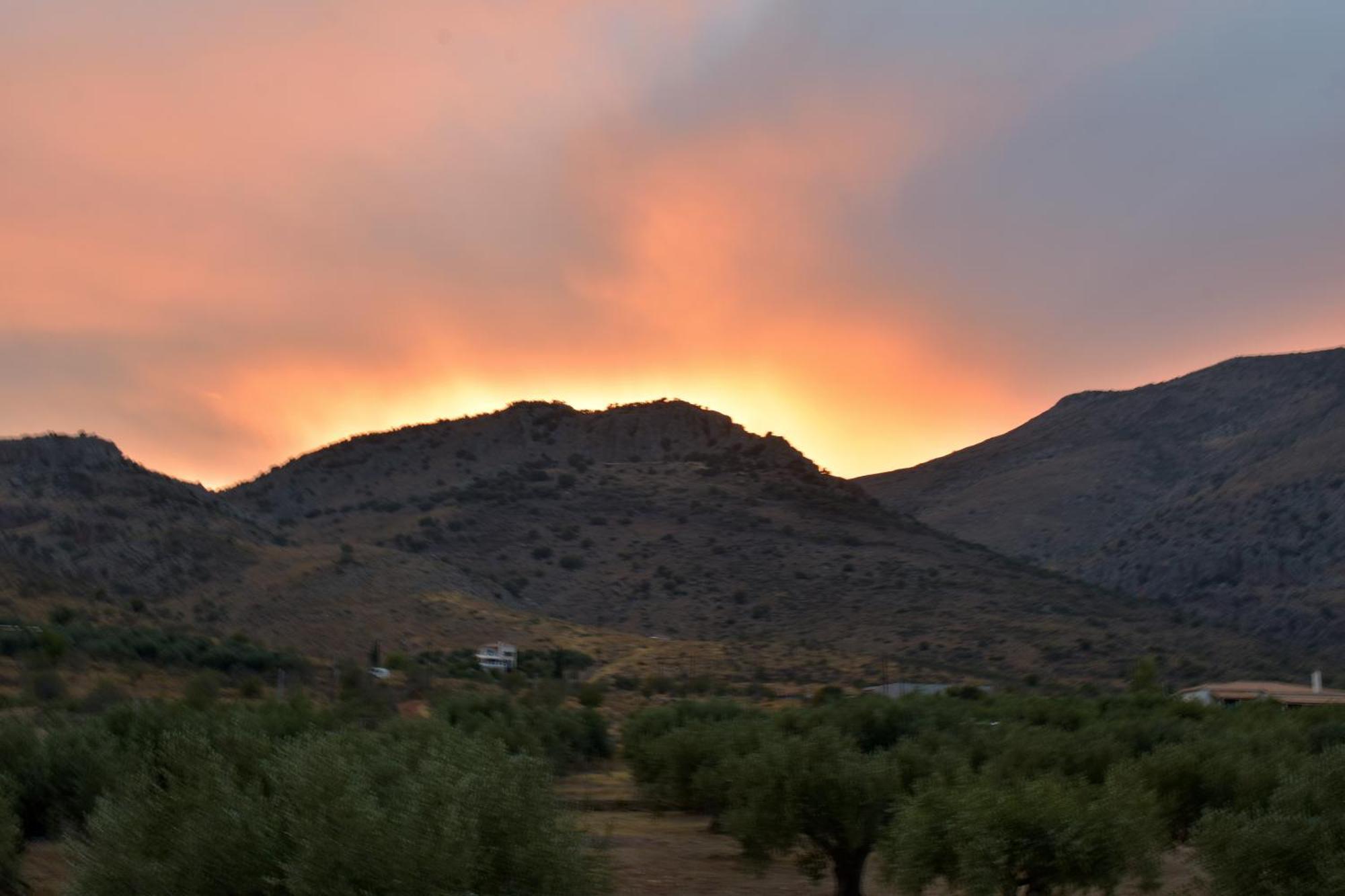Villa In The Olive Trees Galaxidi Quarto foto